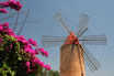 Flowers And Windmill In Majorca